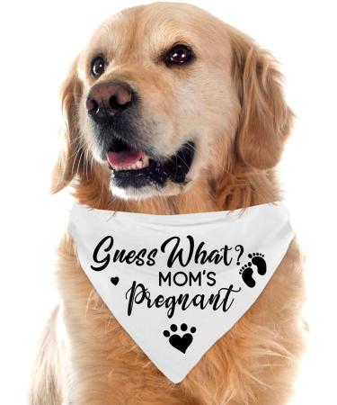 Pregnancy Announcement Dog Bandana Set for Dog Lovers - Gender Reveal Photo Prop and Pet Scarf Decorations - Pack of 2 - Buy Online on GoSupps.com
