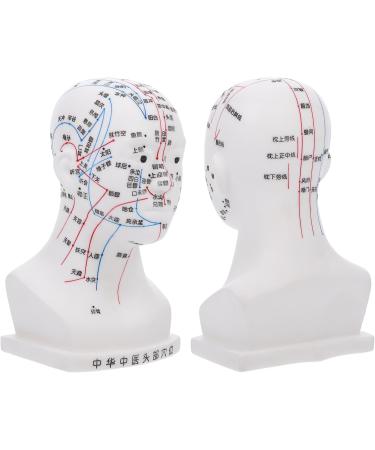 Frcolor Acupuncture Point Model - Realistic Medical Head Massage Aid for Schools & Hospitals | PVC Learning Tool 22x12x8cm - Buy Online on GoSupps.com