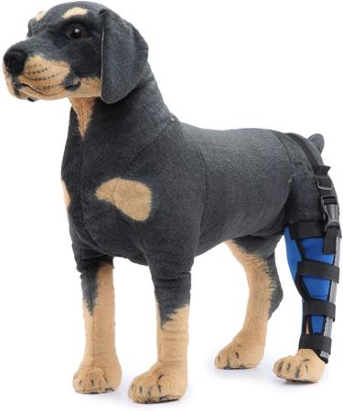 Dog Right Rear Leg Hock Brace - Neoprene Material Prevents Injuries Provides Stability with Support Strip Reflective Strip for Dogs (S) - Buy Online on GoSupps.com