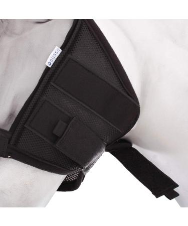 BUSSE Fly Mask with Fringes - Black Small Pony (XS) | Premium Protection for Your Pony | International Shipping Available - Buy Online on GoSupps.com
