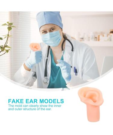 Buy Premium Ear Model Ear Mold - Custom Fit & Fast International Shipping - Buy Online on GoSupps.com