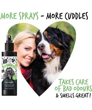 BUGALUGS Dog Cologne perfume - dog deodorant deodoriser spray use with professional groom Dog Shampoo For Dogs Cats & Pets (Aloe & Kiwi 200ml) Aloe & Kiwi 200 ml (Pack of 1) - Buy Online on GoSupps.com