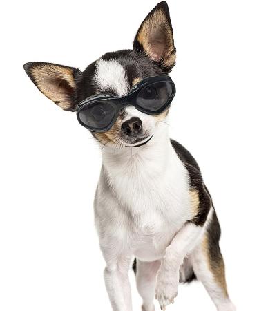 Petleso Stylish Dog Glasses - Waterproof UV Protection Sunglasses for Small & Medium Dogs - Buy Online on GoSupps.com