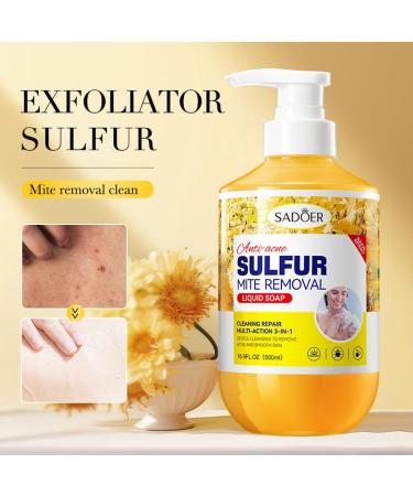Deep Clean & Refreshing Shower Gel - Gentle Body Care for Men & Women | Sulfur Soap Liquid 16.9 Fl.Oz (500ml) for Soothing Treatment & Mite Control - Buy Online on GoSupps.com