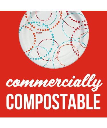 Solo Any Day Paper Plates 8.5 Inch - 360 Count | Convenient Disposable Plates - Buy Online on GoSupps.com