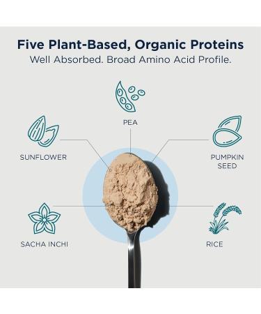 Designs for Health Phytotein Vegan Protein Powder - 20g Organic Rice Sacha Inchi Pumpkin Seed Sunflower Seed & Pea Protein Powder Blend - Creamy Texture Vanilla Plant Protein (465g) Vanilla 1.02 Ounce (Pack of 1) - Buy Online on GoSupps.com
