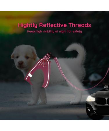 Buy Bella & Pal Dog Harness for Small Dogs - Breathable Air Mesh Reflective Includes Leash | Hot Pink XS (30-35cm) - Buy Online on GoSupps.com