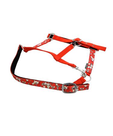 Buy Start Unicorn36 Halter for Horses | Fully Adjustable Stable Halter for Thoroughbreds & Warmbloods (Red/White) - Buy Online on GoSupps.com