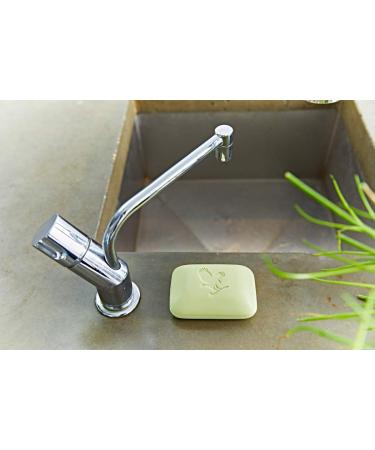 Forever Aloe Avocado Face & Body Soap - Hydrating Cleanser for Skin - Buy Online on GoSupps.com