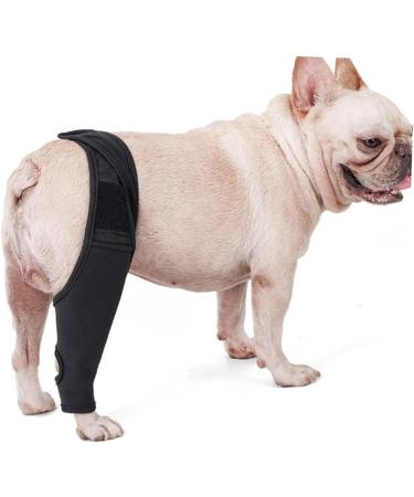 Sosoport Dog Leg Knee Elbow Cat Canine Carpal Dog Foreleg Brace Dog Nose Balm Splint Mesh Fabric Puppy XL As Shown - Buy Online on GoSupps.com