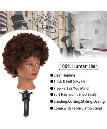 Curly Afro Mannequin Head with 100% Human Hair - Perfect for Hairdresser Training and Styling Practice - Buy Online on GoSupps.com