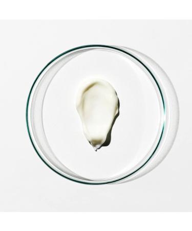 Grown Alchemist Anti-Frizz Conditioner 500ml | Smooth & Control Frizz | International Shipping Available - Buy Online on GoSupps.com