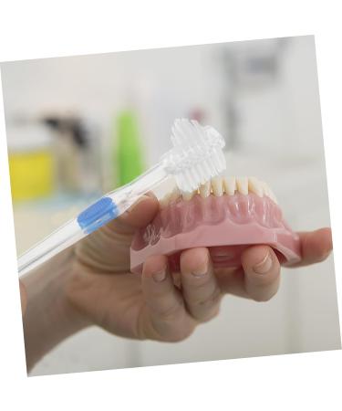 FRCOLOR 15-Pack Double-Sided Soft Toothbrush for Dentures & False Teeth - Prothesis Cleaning Brush - Buy Online on GoSupps.com