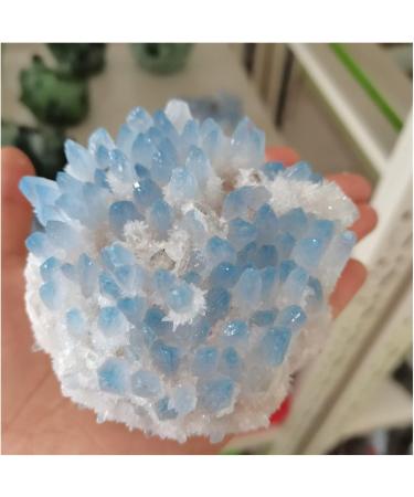 Natural Crystal Rough Natural Crystal Rough Rare Beautiful Blue Ghost Phantom Quartz Crystal Cluster Specimen Decoration (Size : 400-500 g) - Buy Online on GoSupps.com