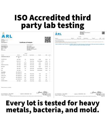 Dr. Westin Childs - Thyroid+ Raw Grass-Fed Desiccated Bovine Thyroid Support for Women & Men with Hypothyroid Hashimoto's Energy & Metabolism Supplement - L-Tyrosine Selenium Iodine & More 120 ct - Buy Online on GoSupps.com