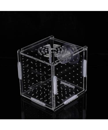 POPETPOP Fish Breeding Box - Isolation Hatchery for Small Baby Fish & Shrimp - Suction Cup Size 1 - Buy Online on GoSupps.com
