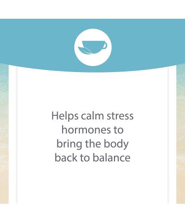 Natural Factors Stress-Relax Serenity Formula - 60 Vegetarian Capsules with Sensoril - Buy Online on GoSupps.com