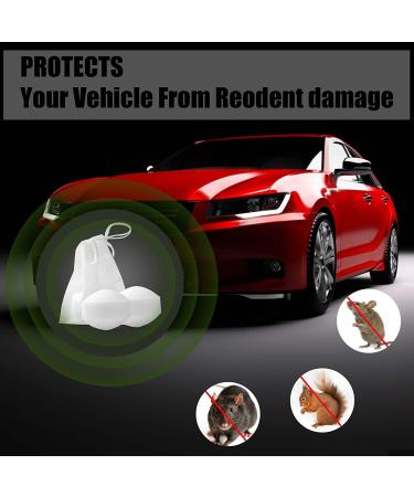 24 Pack Peppermint Oil Rodent Repellent for Cars, Campers, and Indoors - Mouse & Rat Deterrent for Garage - Pet Friendly - Buy Online on GoSupps.com