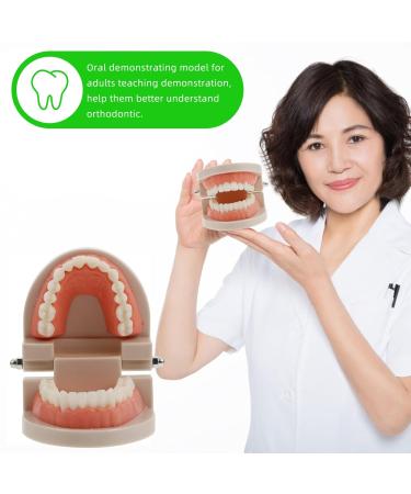 Ultechnovo Tooth Prosthesis Model Toys - Fun and Educational Dental Care for Kids | Perfect for Brushing Practice - Buy Online on GoSupps.com