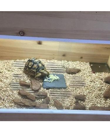 Reptile Heat Pad Adjustable Temperature Control Lizard Terrarium Heating Mat for Small Animals Snake Turtle Bearded Dragon Gecko (15W) - Buy Online on GoSupps.com