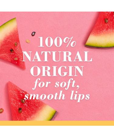 Burt's Bees Lip Balm Multipack Lip Balm Set With Beeswax & Watermelon With Vitamin E Value Duo Pack 2x4.25g Beeswax and Watermelon - Buy Online on GoSupps.com