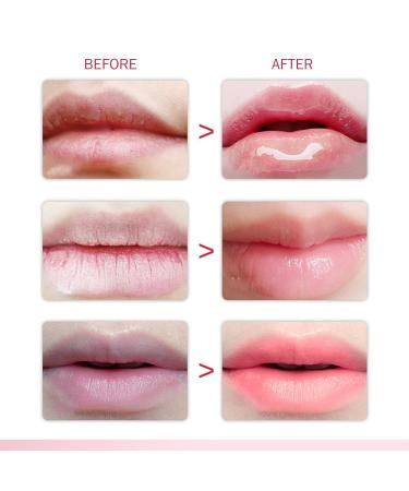 Dark Cherry Jelly Lip Cartridge 32ml - Moisturizing Lipstick Pack for Dead Skin - Preppy Shampoo Red - Buy Online on GoSupps.com