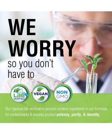 Solaray St Johns Wort 325mg | Mood & Brain Health Support | Non-GMO Vegan | Lab Verified | 100 Count - Buy Online on GoSupps.com