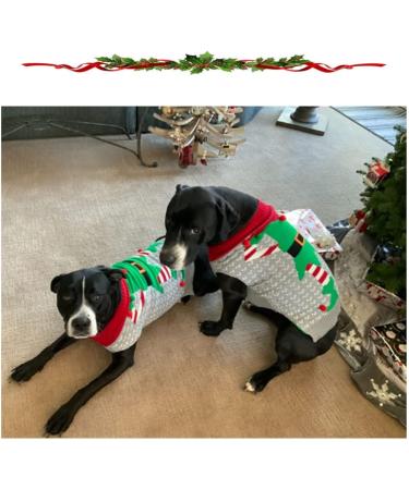 Abrrlo XXL Clown Dog Costume - Cozy Cotton Sweater for Christmas & Winter - Stylish Knitted Dog Clothes - Buy Online on GoSupps.com