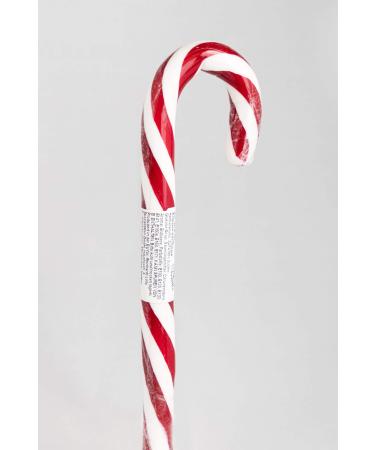 Momenti Gommosi Candy Dog 100g giant red and white