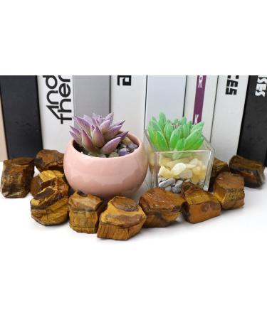 Xiannvxi 2 Tiger Eye Stone Crystals Set - Natural Healing Gemstones Premium Waterstones (4PCs) - Life Source Energy Stones - Buy Online on GoSupps.com