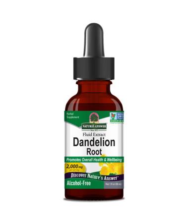 Nature's Answer, Dandelion Root, 2.000mg, 30ml, Gluten Free, Soy Free, Vegetarian