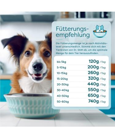 Dr. SAM Premium Dry Food for Adult Dogs - Complete Horse Food with Amaranth and Herb Blend - Ideal for Sensitive Stomachs - Gluten and Grain Free - Buy Online on GoSupps.com