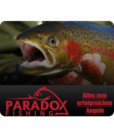 Paradox Fishing Tungsten Jighaken Set - 25 Pieces (0.3g-1.2g) | #6 Trout Hooks & Rubber Baits | Premium Spoon Trout Bait for International Shipping - Buy Online on GoSupps.com