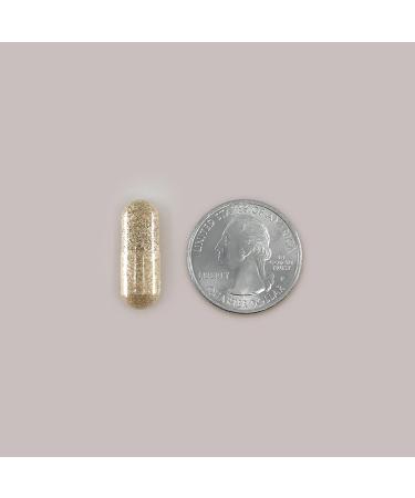 Nugenix Essentials L-Citrulline Supplement for Enhanced Blood Flow and Performance - 1500 mg 60 Capsules 60 Count (Pack of 1) - Buy Online on GoSupps.com