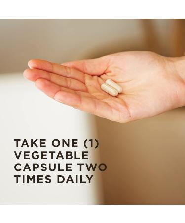 Solgar Ester-C Plus 500mg Vitamin C Capsules - 250 Vegetarian Capsules - Gentle, Non-Acidic Formula for Immune Support - Antioxidant, Non-GMO, Vegan, Gluten-Free, Kosher - Buy Online on GoSupps.com