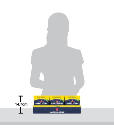 San Pellegrino Italian Sparkling Drinks Classic Taste Original Sparkling Lemon Canned Soft Drinks 24 Count (6 x 4 x 330 ml) - Buy Online on GoSupps.com