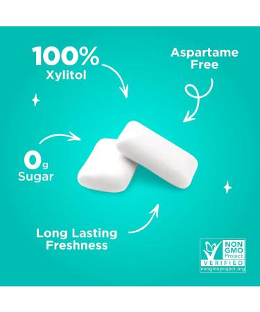 PUR GUM | Sugar-Free Vegan Chewing Gum with Xylitol | Gluten-Free Wintergreen Flavor | 55 Pieces (6-Pack) - Buy Online on GoSupps.com