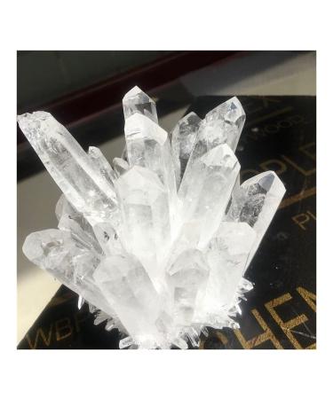 Crystal Rough 700-750g Natural Clear White Quartz Point Crystal Cluster Specimen 1PCS