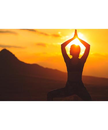 Buy Tesori d'Oriente Karma Aromatic Shower Gel 250ml | Rhino Blossom & Cedar Wood Body Care for Wellness Rituals - Buy Online on GoSupps.com