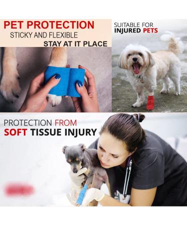 WizGate Vet Wrap 8Pcs Assorted 5cm x 4.5m Non-Woven Cohesive Bandages - Self-Adhesive, Breathable & Stretchable Rolls for Pets & Humans - Ideal for Sprains, Swelling & More - Buy Online on GoSupps.com