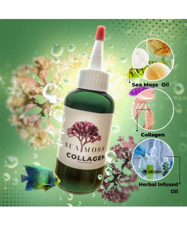 Sea Moss Collagen Hair & Skin Oil | Fenugreek Rosemary Nettle Ginseng Ylang for Hair Growth & Youthful Skin - Buy Internationally - Buy Online on GoSupps.com
