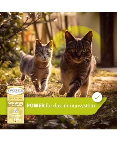 Dirk Drexel Colostrum Kr uterlis Cat Treats - Boost Immune System 180g | Premium Cat Snacks for Healthy Pets - Buy Online on GoSupps.com
