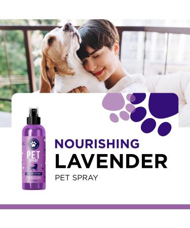 Lavender Oil Dog Deodorizing Spray - Calming and Refreshing Scent for Smelly Dogs and Puppies - Buy Online on GoSupps.com
