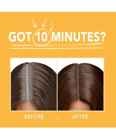 One 'n Only Argan Oil Fast 10 Permanent Hair Color Kit 4N Medium Brown - Gray Coverage in 10 Mins - Advanced Micro-Pigments - 1 Count - Buy Online on GoSupps.com