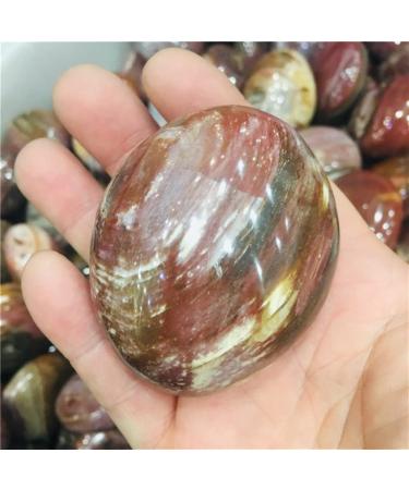 Natural Crystal Rough Gems for Decoration 100g Natural Crystal Petrified woodPlay with The Rolling Palmetto 1pcs Aura Crystal
