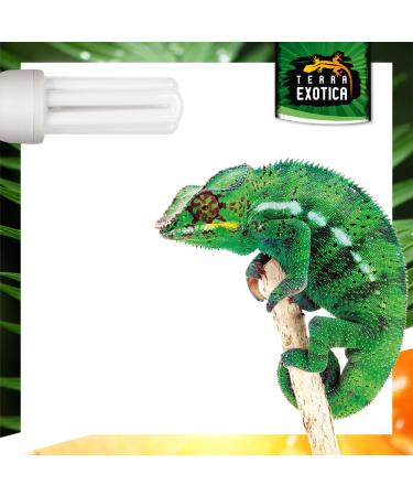 Compact Pro 8.0 UVB Lamp for Terrariums | Energy-Saving Daylight for Agamens Chameleons Iguanas & Turtles - Buy Online on GoSupps.com