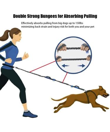 Hands Free Dog Leash Retractable Dog Leash Running with Dual Bungees for Medium and Large Dogs Adjustable Waist Belt Reflective Stitching Leash for Running Walking Hiking Jogging Biking (Green) - Buy Online on GoSupps.com
