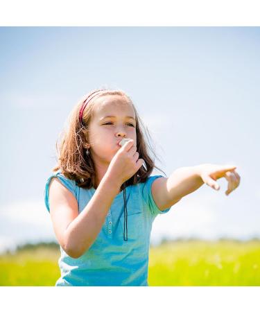 2-Pack Stainless Steel Trill Whistle - Durable Sports Pipes for Referees & Officials | Perfect Metal Gift - Buy Online on GoSupps.com