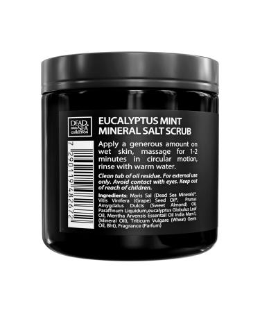 Dead Sea Eucalyptus Mint Salt Body Scrub for Men - 23.28 OZ | Pure Oils & Minerals - Buy Online on GoSupps.com