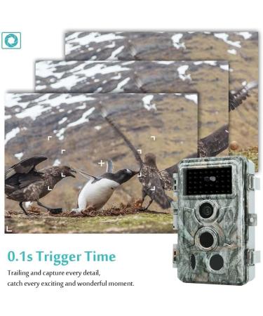 Buy Blazevideo Wild Camera 32MP 1296P - IP66 Waterproof Surveillance for Hunting & Forest Monitoring - Buy Online on GoSupps.com